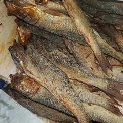 Salted SMOKE HERRING 10 to 50+ Pieces /buy 50+ get 10 Pieces free