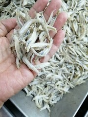 Combo Mix 100G Anchovies With 2 x 60G MAGGI Ikan Bilis Stock Cube HALAL