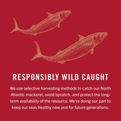 King Oscar Mackerel Olive Oil 4.05oz 6 Pack Wild Caught Skinless Boneless