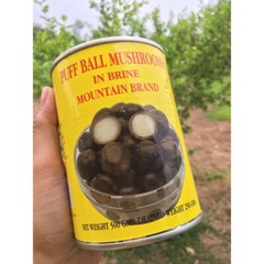 2 cans Puff Ball Mushroom In Brine Authentic Thai Cooking Menu DHL Fast Shipping