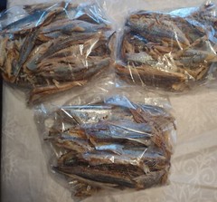 Fish Shawa Dry Bonga Fish