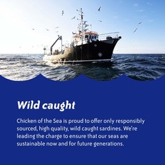 Wild Caught Sardines in Olive Oil, 3.75 oz. (Pack of 18) – Canned Seafood