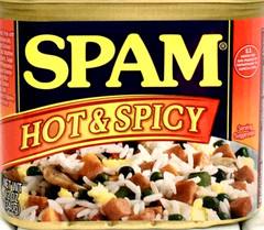 Spam Hot & Spicy Luncheon Meat 12 oz ( Pack of 24 )