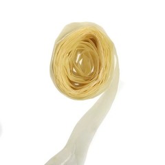 2 Meters Food Grade Plastic Casings for Sausage Salami Wide 50mm Shell Inedible