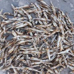 Seafoods Anchovy dry fish 200g packet Srilanka