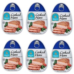 6 Pack Bristol Cooked Canned Ham 16oz Smoke Flavor Picnic