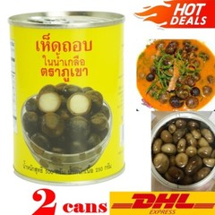 2 cans Puff Ball Mushroom In Brine Authentic Thai Cooking Menu DHL Fast Shipping