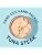 Wild Planet Albacore Tuna, No Salt Added, Canned 5 Ounce (Pack of 4)