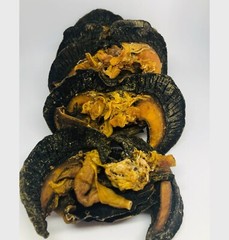 Dry Snails- Jumbo & Medium-6 & 12pieces/pack