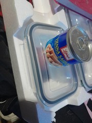 Gourmet Vienna Sausages with BBQ Sauce – 24 x 4.6 oz Cans for Flavorful Snacking