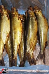 Salted SMOKE HERRING 1 kg+to 2kg /buy 3kg.get 500 gm free
