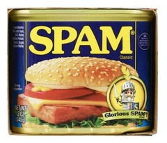 SPAM CLASSIC Twinpack Canned Meat 12 Oz Pack of 2