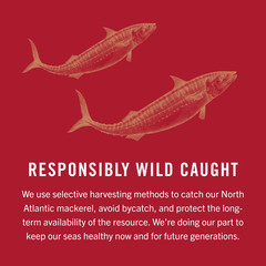 4 Pack Wild Caught Mackerel in Olive Oil Skinless Boneless Fillets 4.05oz NEW