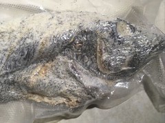 Saltfish Salted Fish Blk Sea Bass Baccala Bacalao 14.4 oz Carribean Italian US