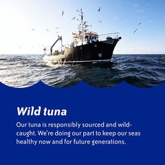 Chunk Light Tuna in Water 5 Ounce Cans Pack of 24 Wild Caught Canned Tuna 25%…