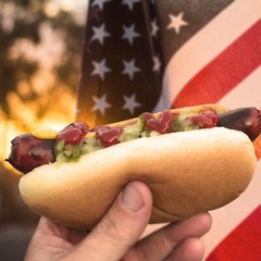 Sahlens Natural Casing Hot Dogs 10 lbs $135.00 SHIPPING INCLUDED