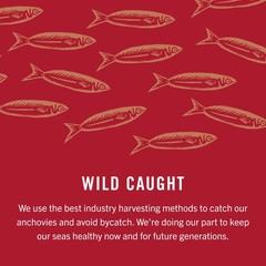 King Oscar Anchovies Fillets in Olive Oil, 2 Ounce Cans Pack of 18, Wild Caug…