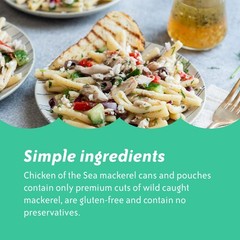 Nutrient-Rich Wild Caught Jack Mackerel in Brine, 15 oz Cans (12 Pack)