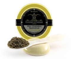 C&C Wild FRESH American Paddlefish Caviar 4oz/ 112g + Mother of Pearl SPOON