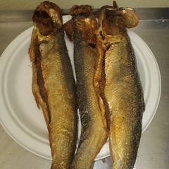 Salted SMOKE HERRING 10 to 50+ Pieces /buy 50+ get 10 Pieces free