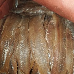 Salted SMOKE HERRING FILLET 1lb+ to 10lb best on the market guarantee 👑