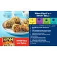 Hot and Spicy Protein 12 oz Aluminum Can