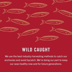 Wild Caught Anchovies in Olive Oil, 18-Pack of 2 Ounce Cans, Savory Gourmet F…