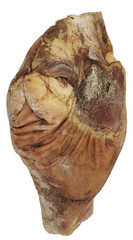 Sliced Whole Country Style Ham Bone In +-15 Lbs Vacuum Sealed Dennis Cured Pork
