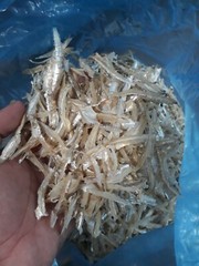 GRADE A 500G HEADLESS ANCHOVIES – FRESH, CLEAN, SEAFOOD DRIED FISH PEELED