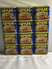 SPAM Luncheon Meat 12 oz, Pack of 12 , (T570) BB 05/2027, Free Shipping