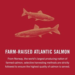 Salmon in Olive Oil Skinless Boneless Canned Fish 4.05 Oz 12 Pack