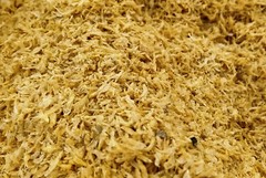 Seafood Small Size Shrimp Fresh Cleaned Naturally SunDried Delicious for Cooking