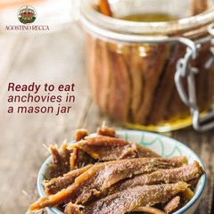 Agostino Recca Anchovies Fillets in Olive Oil Wild Caught Fish from Italy A…