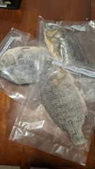 Dried salted Tilapia/ Salted Fish/ Koobi