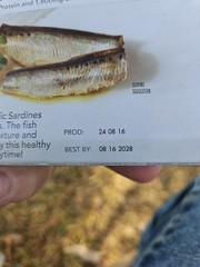 Wild Planet Wild Sardines In Extra Virgin Olive Oil Lightly Smoked 8 Cans