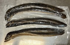‼️ EEL – Hot Smoked ‼️ • (Average Weight Between 1.00 – 1.25 – LB) • (Угорь) ‼️
