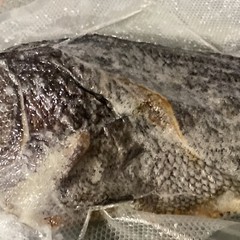 Saltfish Salted Fish Black Sea Bass Baccala Bacalao 13.75oz Carribean Italian US