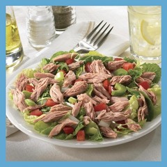 Chunk Light Tuna in Oil 5 Oz Pack of 48 Wild Caught Protein Omega 3