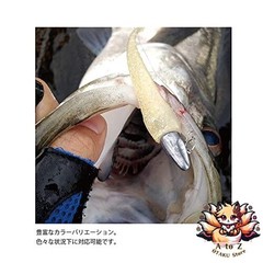 NEW coreman (Core Man) Worm Ca – 07 Alkaline Junior # 001 Japanese Anchovy.