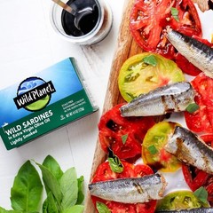 Wild Planet Wild Sardines EVOO Lightly Smoked Tinned Fish 4.4 oz 12-Pack Gluten