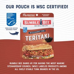 Bumble Bee Teriyaki Seasoned Tuna 2.5 oz Pouch – Ready to Eat – Wild Caught T…