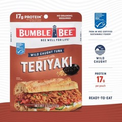 Teriyaki Seasoned Tuna, 2.5 oz Pouch – Ready to Eat