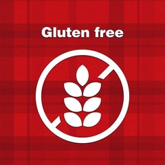 Hearty Gluten-Free Beef Stew – 15 oz Cans, 10g Protein, Perfect for Quick Meals