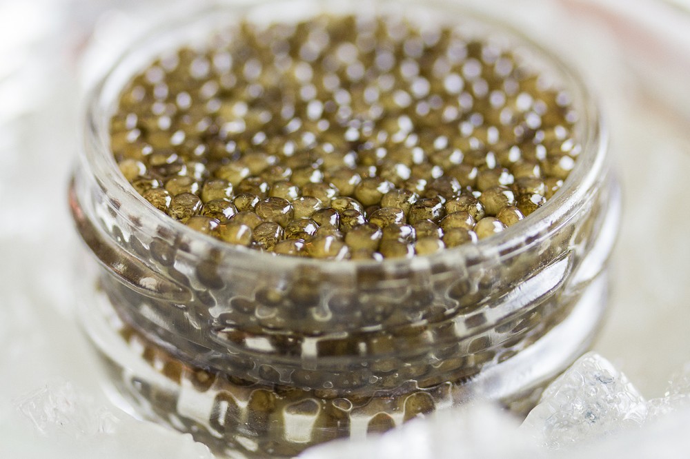 C&C Royal Osetra Highest Grade 000 Caviar 1 oz 28 g Jar