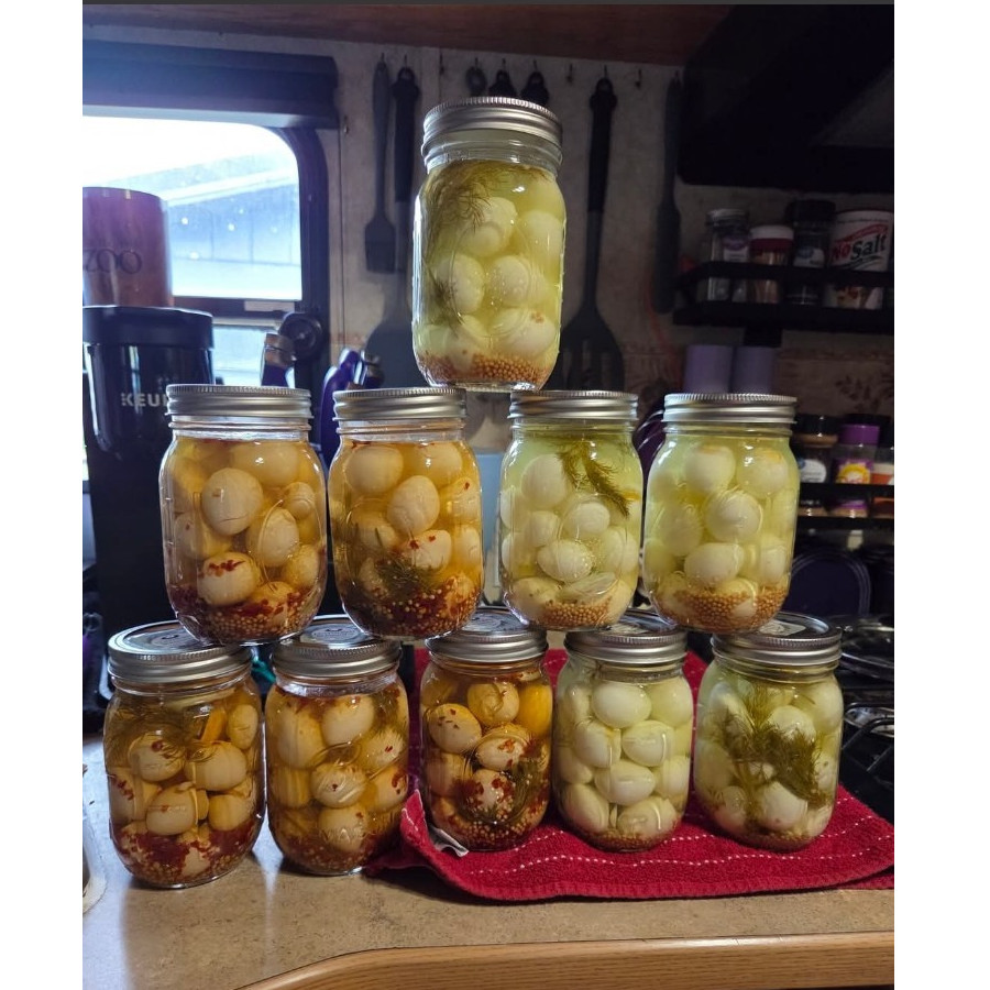 Feathered Blessings Pickled Quail Eggs