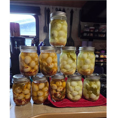 Feathered Blessings Pickled Quail Eggs