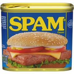 Classic Lunch Meat – 12oz