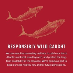Mackerel in Olive Oil, 4.05 Ounce Can Pack of 6, Packaging May Vary, Skinless…
