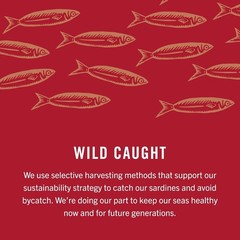 Sardines in Zesty Tomato Sauce, 3.75 Ounce Cans Pack of 12, Wild Caught Canne…