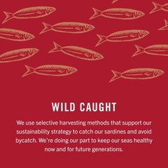 King Oscar Wild Caught Sardines in Extra Virgin Olive Oil 3.75 Ounce (Pack of 4)
